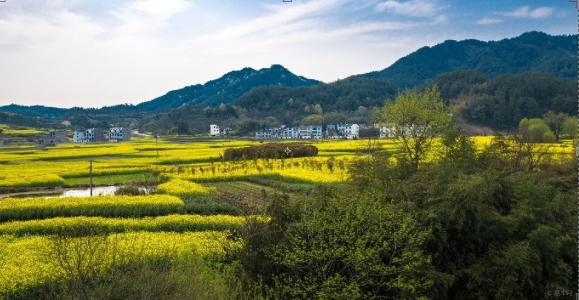 手機信號增強|跟弱信號說拜拜,用這個方法實現網絡信號100%