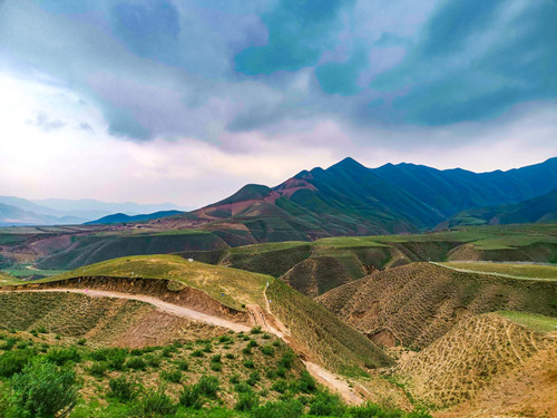 拯救荒野信號難題,甘肅蘭州渤海油田覆蓋實例