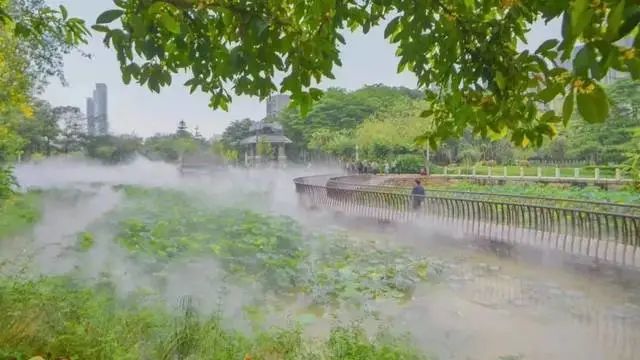 1669019510335401.jpg 640 (1).jpg