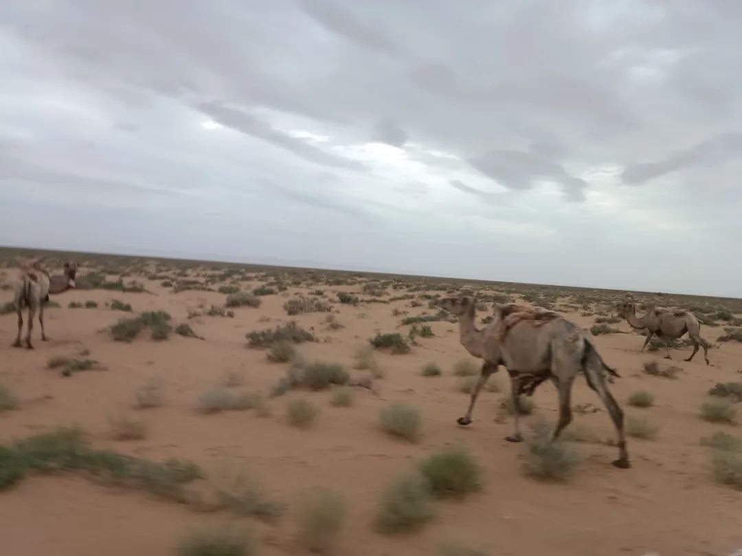 1690256272152241.jpg 8.jpg