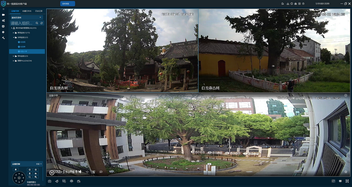 千歲古樹配“護衛”，5G科技進步全天監控