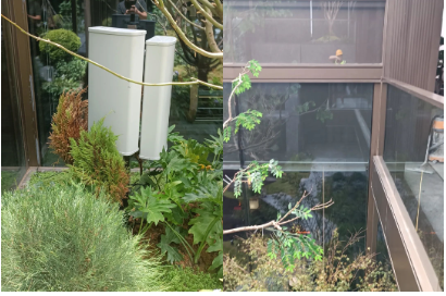 1693807741378234.png 7.png