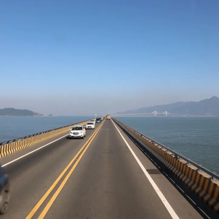 1703485391663192.jpg 2.jpg