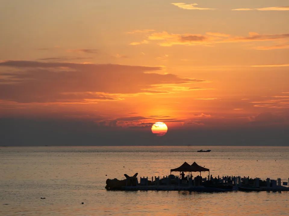 1703485473693402.jpg 4.jpg