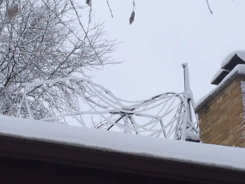 1739180622872723.jpg 2.jpg